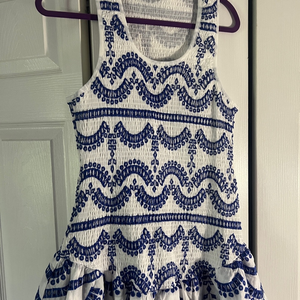 Embroidered Ruffled Sleeveless Dress - Picture 6 of 16